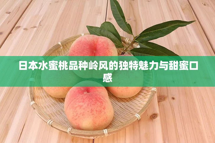 日本水蜜桃品種嶺風(fēng)的獨特魅力與甜蜜口感