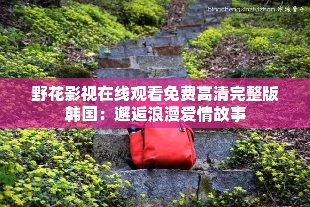 野花影視在線觀看免費高清完整版韓國：邂逅浪漫愛情故事