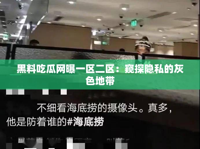 黑料吃瓜網(wǎng)曝一區(qū)二區(qū)：窺探隱私的灰色地帶