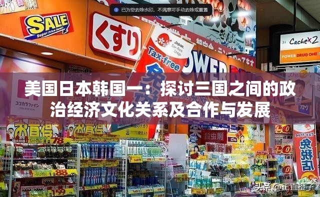 美國(guó)日本韓國(guó)一：探討三國(guó)之間的政治經(jīng)濟(jì)文化關(guān)系及合作與發(fā)展