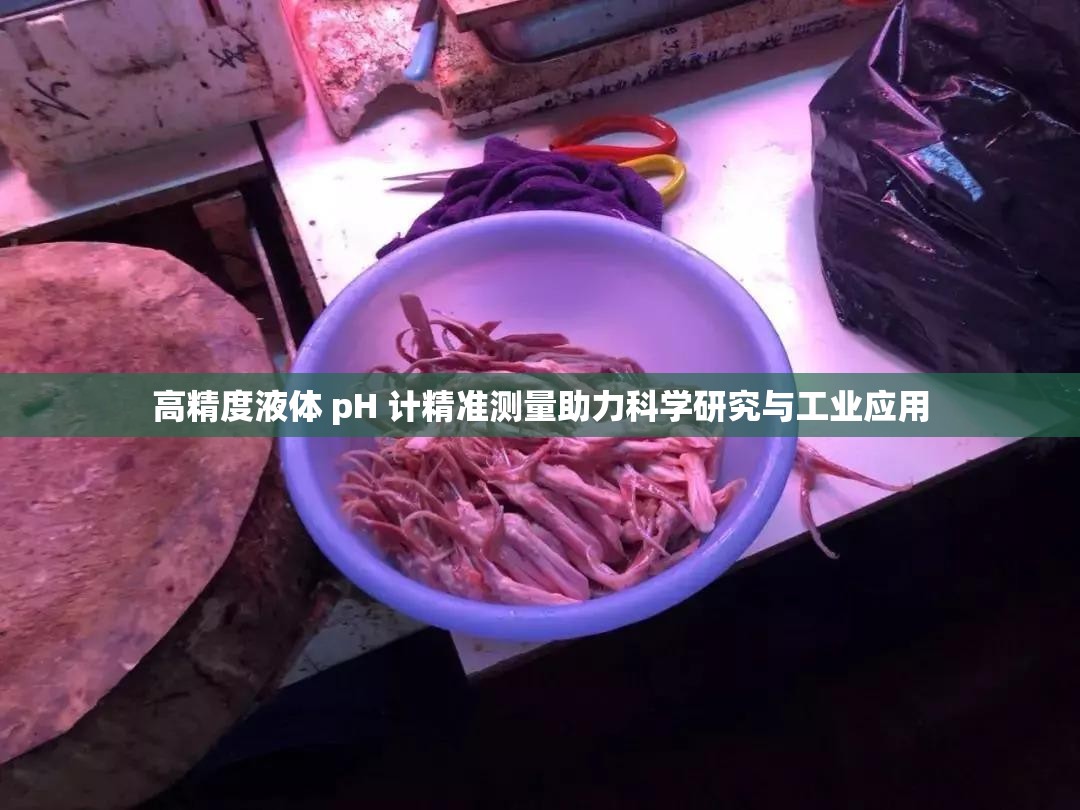 高精度液體 pH 計(jì)精準(zhǔn)測(cè)量助力科學(xué)研究與工業(yè)應(yīng)用