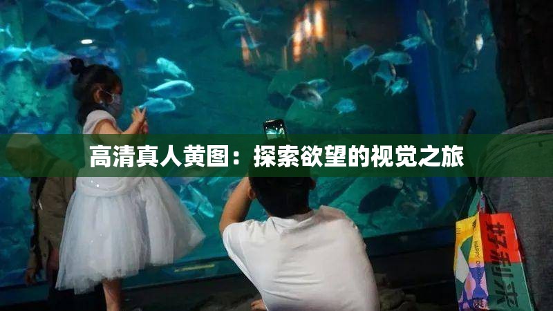 高清真人黃圖：探索欲望的視覺之旅
