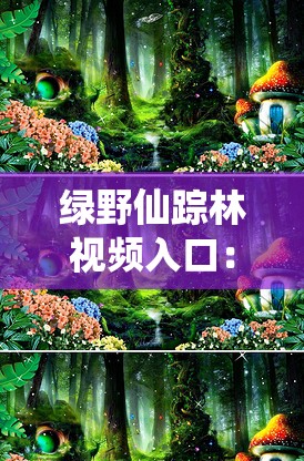 綠野仙蹤林視頻入口：暢享精彩之旅歡迎您