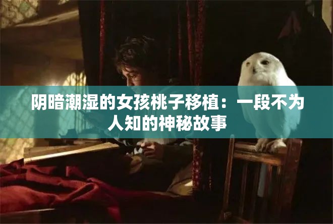 陰暗潮濕的女孩桃子移植：一段不為人知的神秘故事