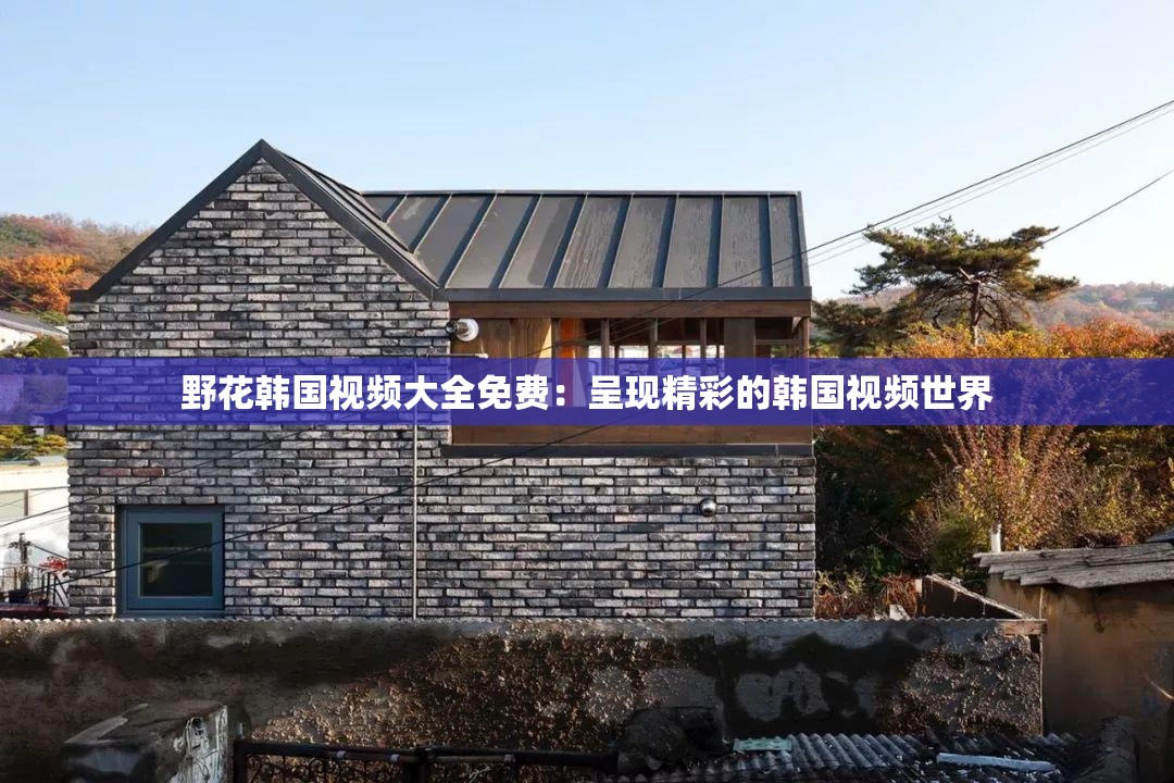 野花韓國(guó)視頻大全免費(fèi)：呈現(xiàn)精彩的韓國(guó)視頻世界