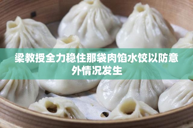 梁教授全力穩(wěn)住那袋肉餡水餃以防意外情況發(fā)生