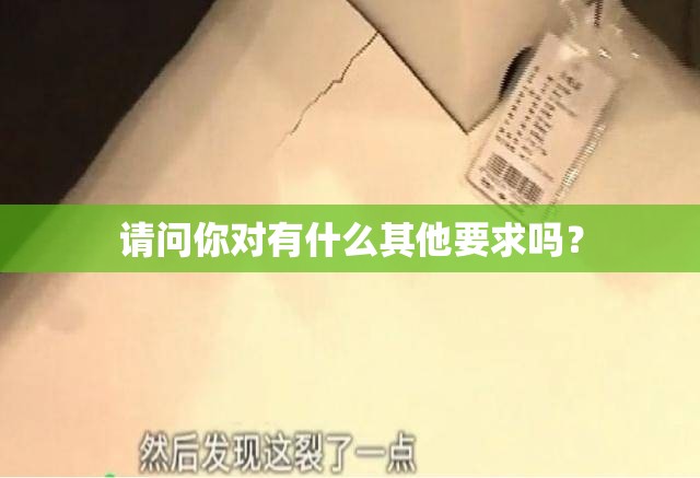 請(qǐng)問(wèn)你對(duì)有什么其他要求嗎？