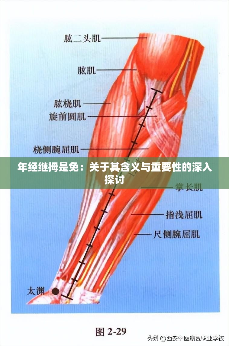 年經(jīng)繼拇是免：關(guān)于其含義與重要性的深入探討