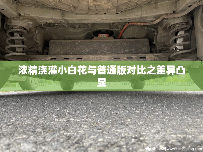 濃精澆灌小白花與普通版對比之差異凸顯