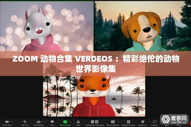ZOOM 動物合集 VERDEOS ：精彩絕倫的動物世界影像集