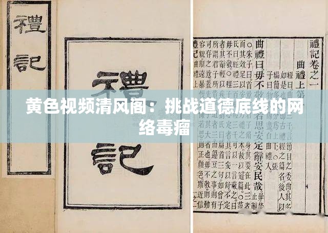黃色視頻清風(fēng)閣：挑戰(zhàn)道德底線的網(wǎng)絡(luò)毒瘤