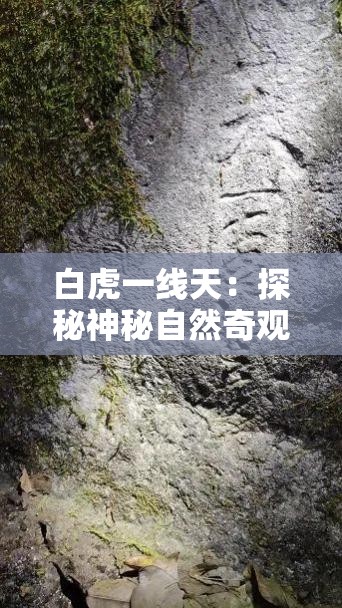白虎一線天：探秘神秘自然奇觀