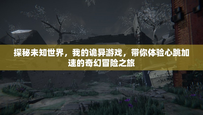 探秘未知世界，我的詭異游戲，帶你體驗(yàn)心跳加速的奇幻冒險(xiǎn)之旅
