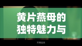 黃片燕母的獨(dú)特魅力與不凡經(jīng)歷