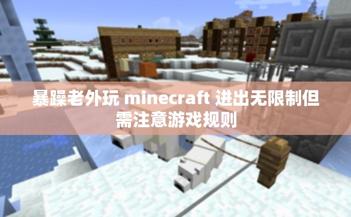 暴躁老外玩 minecraft 進(jìn)出無限制但需注意游戲規(guī)則