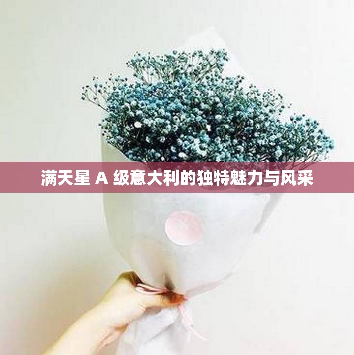 滿天星 A 級意大利的獨特魅力與風(fēng)采