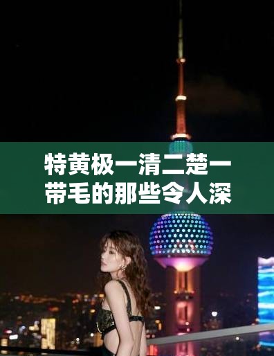 特黃極一清二楚一帶毛的那些令人深思的過往與發(fā)展