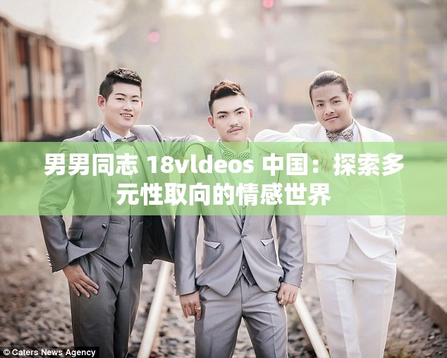 男男同志 18vldeos 中國(guó)：探索多元性取向的情感世界