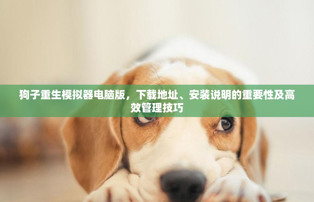 狗子重生模擬器電腦版，下載地址、安裝說明的重要性及高效管理技巧
