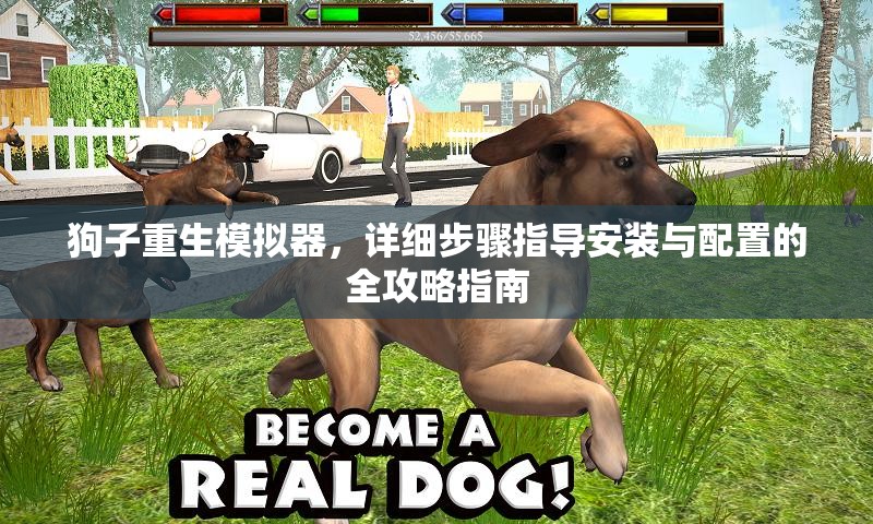 狗子重生模擬器，詳細(xì)步驟指導(dǎo)安裝與配置的全攻略指南