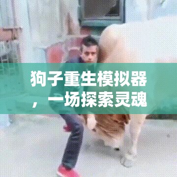 狗子重生模擬器，一場探索靈魂穿越的萌寵奇遇，究竟能否帶來非凡游戲體驗(yàn)？