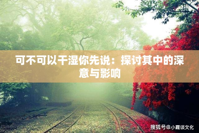 可不可以干濕你先說(shuō)：探討其中的深意與影響
