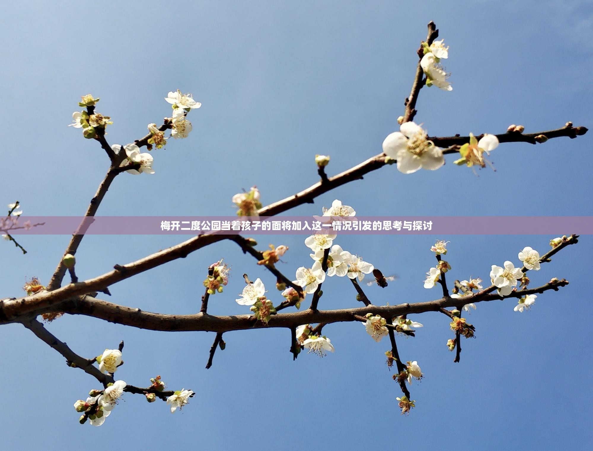 梅開(kāi)二度公園當(dāng)著孩子的面將加入這一情況引發(fā)的思考與探討