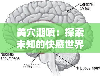 美穴潮噴：探索未知的快感世界