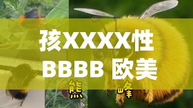 孩XXXX性 BBBB 歐美蚪窩：探索獨特的歐美文化魅力