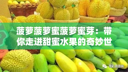 菠蘿菠蘿蜜菠蘿蜜芽：帶你走進甜蜜水果的奇妙世界