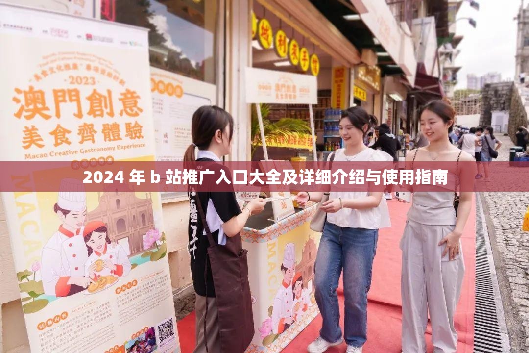2024 年 b 站推廣入口大全及詳細介紹與使用指南