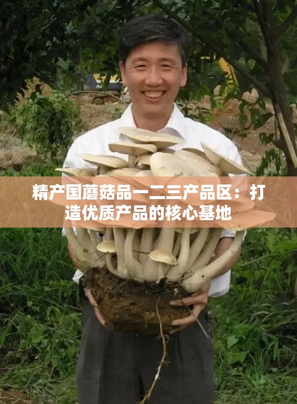 精產(chǎn)國蘑菇品一二三產(chǎn)品區(qū)：打造優(yōu)質(zhì)產(chǎn)品的核心基地