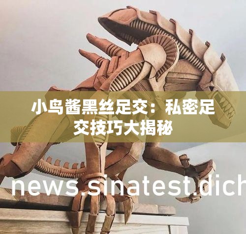 小鳥(niǎo)醬黑絲足交：私密足交技巧大揭秘