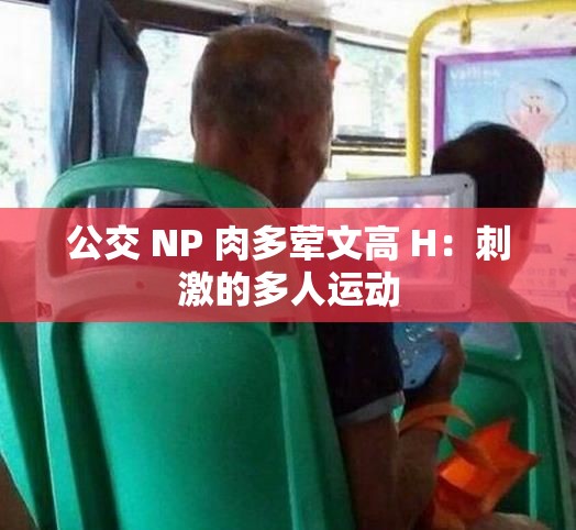 公交 NP 肉多葷文高 H：刺激的多人運(yùn)動(dòng)