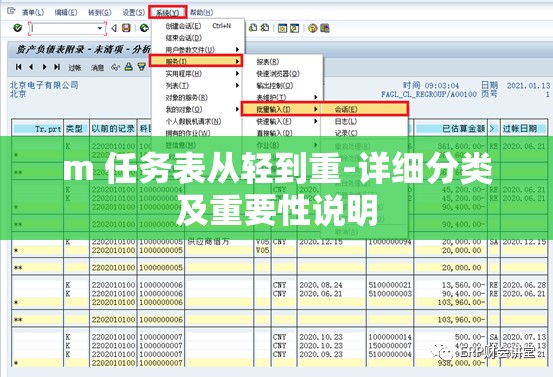 m 任務(wù)表從輕到重-詳細(xì)分類及重要性說明