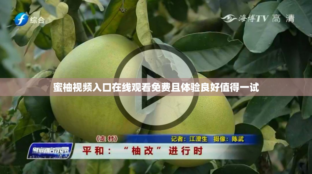 蜜柚視頻入口在線觀看免費且體驗良好值得一試