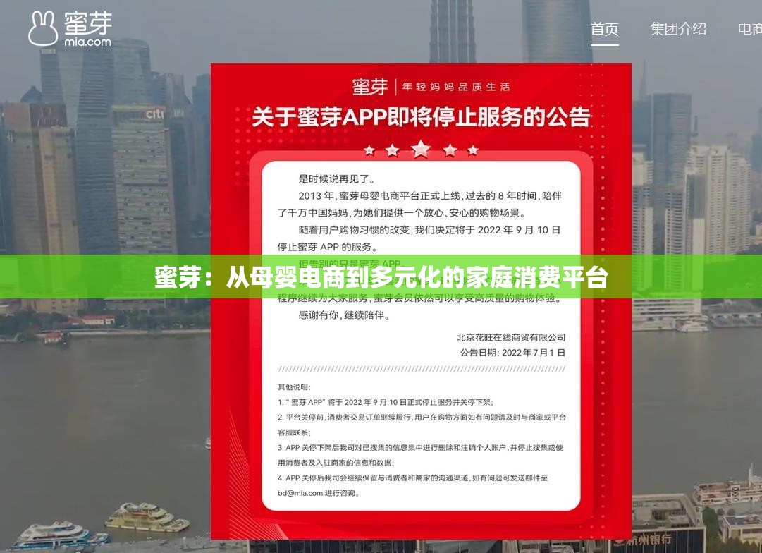 蜜芽：從母嬰電商到多元化的家庭消費(fèi)平臺(tái)
