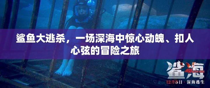 鯊魚(yú)大逃殺，一場(chǎng)深海中驚心動(dòng)魄、扣人心弦的冒險(xiǎn)之旅
