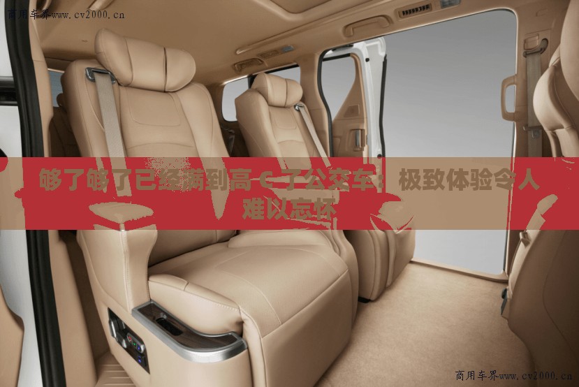 夠了夠了已經(jīng)滿到高 C 了公交車：極致體驗(yàn)令人難以忘懷