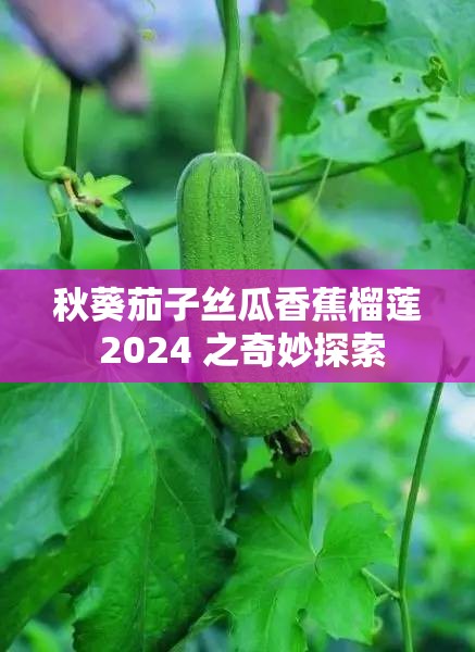 秋葵茄子絲瓜香蕉榴蓮 2024 之奇妙探索