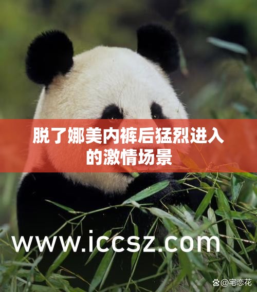 脫了娜美內(nèi)褲后猛烈進(jìn)入的激情場(chǎng)景