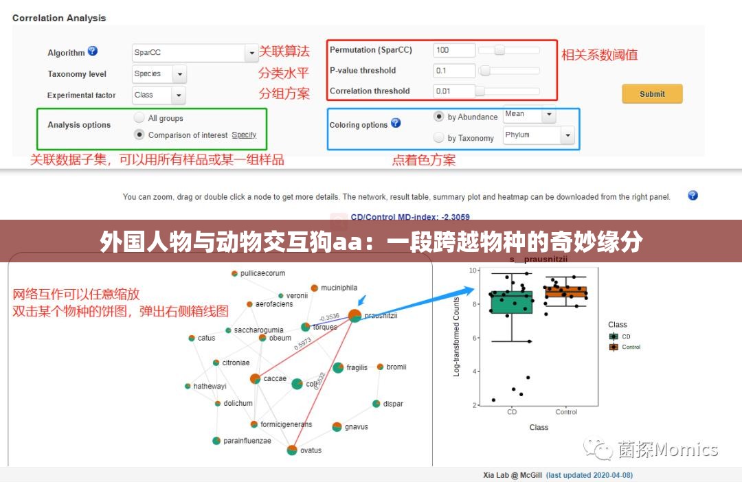 外國人物與動物交互狗aa：一段跨越物種的奇妙緣分