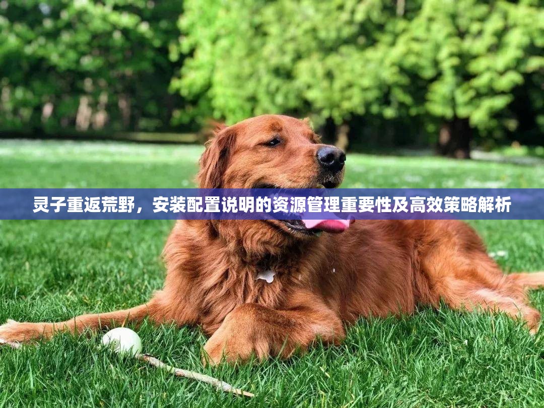 靈子重返荒野，安裝配置說(shuō)明的資源管理重要性及高效策略解析