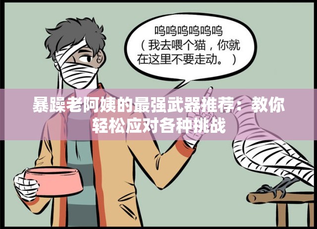 暴躁老阿姨的最強(qiáng)武器推薦：教你輕松應(yīng)對(duì)各種挑戰(zhàn)