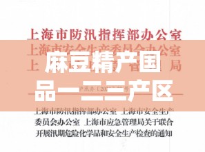 麻豆精產(chǎn)國品一二三產(chǎn)區(qū)別：深入探討其不同特點與重要性