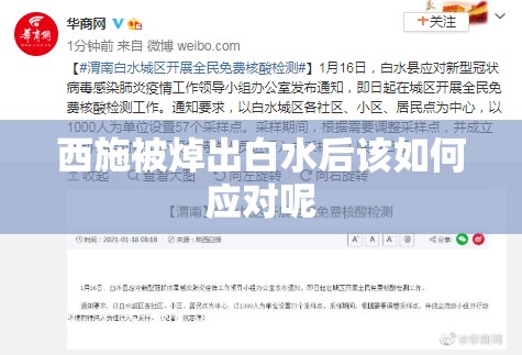 西施被焯出白水后該如何應(yīng)對呢