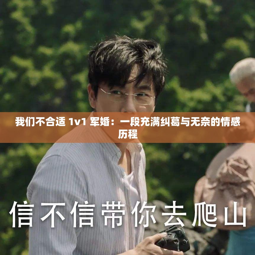 我們不合適 1v1 軍婚：一段充滿糾葛與無奈的情感歷程