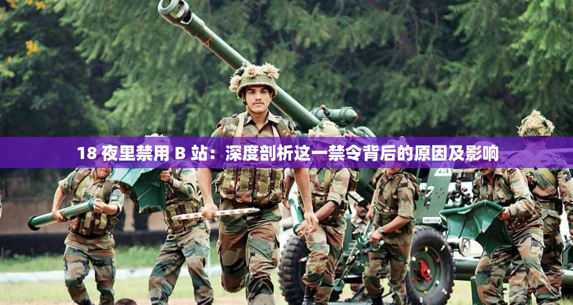 18 夜里禁用 B 站：深度剖析這一禁令背后的原因及影響