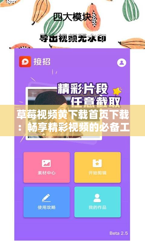 草莓視頻黃下載首頁下載：暢享精彩視頻的必備工具