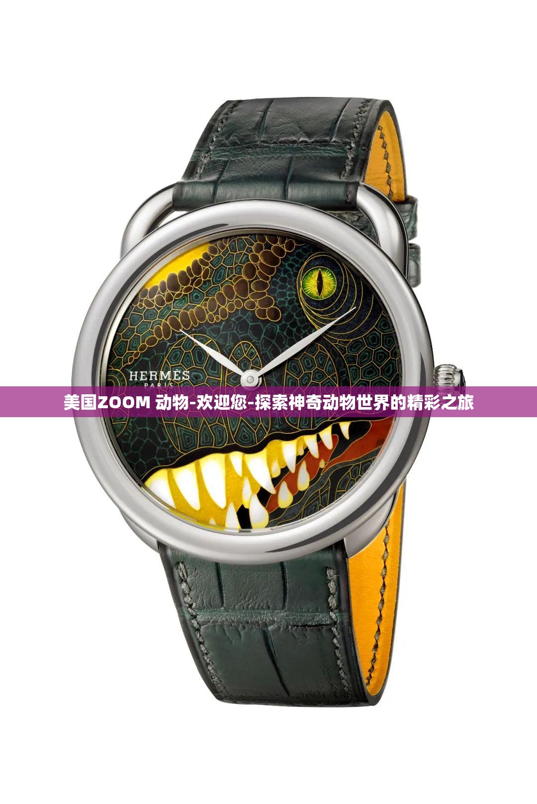 美國ZOOM 動物-歡迎您-探索神奇動物世界的精彩之旅